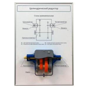 Плакат планшет с демонстрационной моделью «Цилиндрический редуктор» - fgospostavki.ru - Красный Сулин