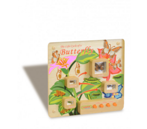 Панель «Жизненный цикл бабочки» - fgospostavki.ru - Красный Сулин