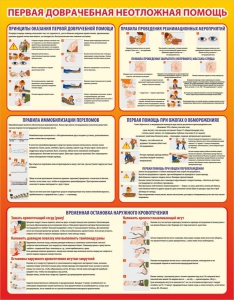 Стенд "Первая доврачебная неотложная помощь" - fgospostavki.ru - Красный Сулин