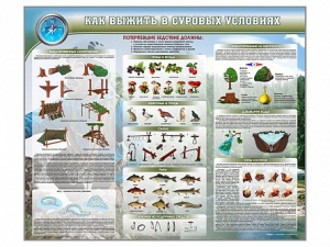 Стенд "Как выжить в суровых условиях" - fgospostavki.ru - Красный Сулин