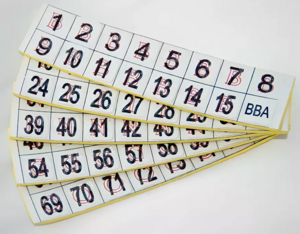 Фишки для игры «Бинго» со шрифтом Брайля - fgospostavki.ru - Красный Сулин