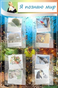 Стенд "Я познаю мир" - fgospostavki.ru - Красный Сулин