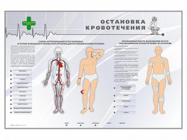 Электрифицированный стенд "Остановка кровотечения" - fgospostavki.ru - Красный Сулин