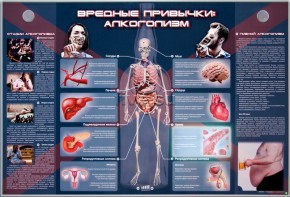 Электрифицированный стенд "Вредные привычки: алкоголизм" - fgospostavki.ru - Красный Сулин