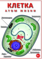 DVD "Клетка - "атом жизни" - fgospostavki.ru - Красный Сулин
