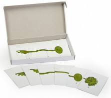 Модель-аппликация "Роль ядра в регуляции развития организма" (набор из 8 карт) - fgospostavki.ru - Красный Сулин