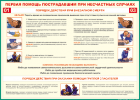 Таблица "Порядок действий при внезапной смерти" (100х140 сантиметров, винил) - fgospostavki.ru - Красный Сулин