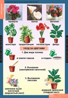 Комплект таблиц. Окружающий мир 1 класс. - fgospostavki.ru - Красный Сулин