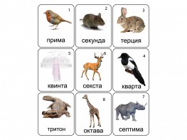 Набор магнитных карточек по музыке "Животные" (9 штук) - fgospostavki.ru - Красный Сулин