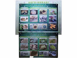 Комбинированный модульный комплекс "Лого-биолог" - fgospostavki.ru - Красный Сулин