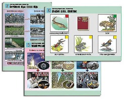 Комплект таблиц "Окружающий мир. Экология" (6 таблиц, А1, ламинированные) - fgospostavki.ru - Красный Сулин