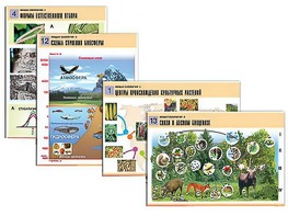 Комплект таблиц по биологии демонстрационных "Общая биология 2" (14 таблиц, формат А1, ламинированные) - fgospostavki.ru - Красный Сулин