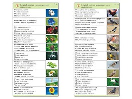 Комплект карточек (10) "Обучающий калейдоскоп. Природа" - fgospostavki.ru - Красный Сулин