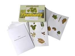 Гербарий "Морфология растений" (6 тем, 30 видов) - fgospostavki.ru - Красный Сулин
