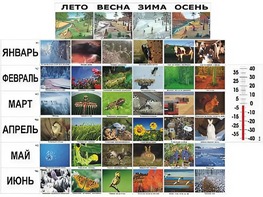 Фенологические наблюдения - fgospostavki.ru - Красный Сулин