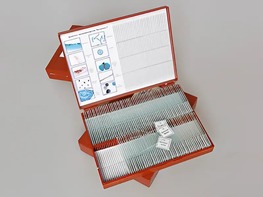 Комплект микропрепаратов "Ботаника 1" - fgospostavki.ru - Красный Сулин