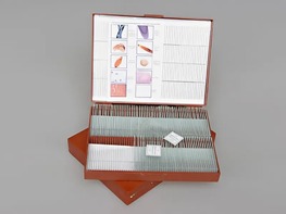 Комплект микропрепаратов "Общая биология" - fgospostavki.ru - Красный Сулин