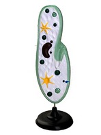 Модель инфузории-туфельки - fgospostavki.ru - Красный Сулин