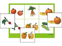 Логопедическое лото "Овощи" (4 планшета, 24 карточки, цветное, ламинированное) - fgospostavki.ru - Красный Сулин