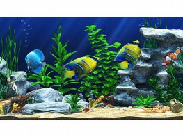 Интерактивный аттракционный комплекс "Водный мир" - fgospostavki.ru - Красный Сулин