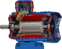 Учебная модель «Электродвигатель асинхронный в разрезе» - fgospostavki.ru - Красный Сулин