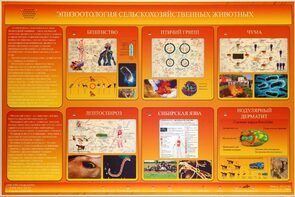 Электрифицированный стенд «Эпизоотология сельскохозяйственных животных» - fgospostavki.ru - Красный Сулин