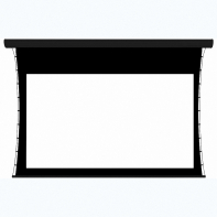 Экран настенный с электроприводом DSTPX-16916 - fgospostavki.ru - Красный Сулин