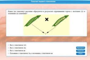 Интерактивные курсы. Биология 11 класс. Базовый. - fgospostavki.ru - Красный Сулин