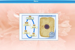 Интерактивные курсы. Биология 6 класс. Базовый - fgospostavki.ru - Красный Сулин