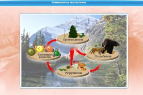 Интерактивные курсы. Биология 7 класс. Базовый. - fgospostavki.ru - Красный Сулин