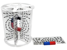 Модель для демонстрации в объеме линий магнитного поля - fgospostavki.ru - Красный Сулин