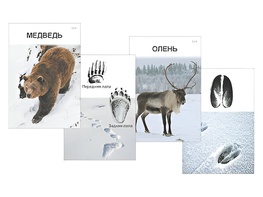 Комплект дидактических карточек "Следы на снегу" - fgospostavki.ru - Красный Сулин