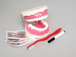 Игровой комплект "Чистим зубы" - fgospostavki.ru - Красный Сулин