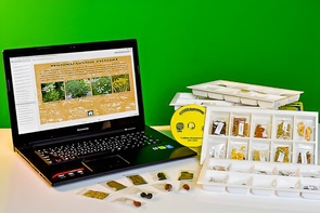 Коллекция натурально-интерактивная "Плоды сельскохозяйственных растений" - fgospostavki.ru - Красный Сулин