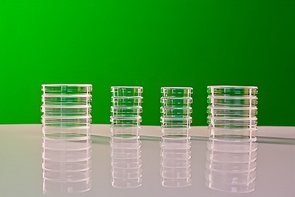 Набор чашек Петри - fgospostavki.ru - Красный Сулин