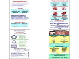 Плакаты ПРОФТЕХ "Классификации и виды мяса" (4 пл, винил, 70х100) - fgospostavki.ru - Красный Сулин