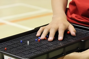 Сетка для игры тактильная (Бочча) - fgospostavki.ru - Красный Сулин