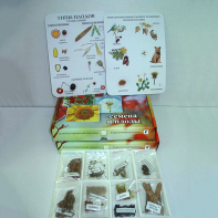 Коллекция "Семена и плоды с раздаточным материалом" - fgospostavki.ru - Красный Сулин