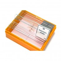 Набор готовых микропрепаратов (зоология) - fgospostavki.ru - Красный Сулин