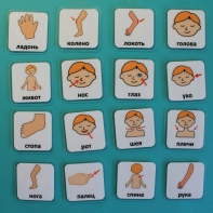 Набор карточек "Части тела" - fgospostavki.ru - Красный Сулин