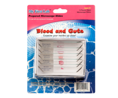 Набор микропрепаратов для микроскопа №1 «Человек» - fgospostavki.ru - Красный Сулин