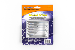 Набор микропрепаратов для микроскопа №5 «Насекомые» - fgospostavki.ru - Красный Сулин