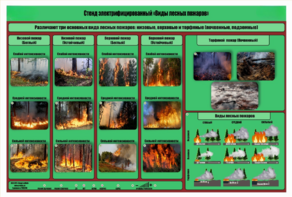 Стенд-планшет электрифицированный «Виды лесных пожаров»  - fgospostavki.ru - Красный Сулин