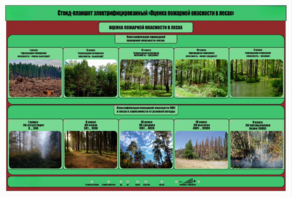 Стенд-планшет электрифицированный «Оценка пожарной опасности в лесах»  - fgospostavki.ru - Красный Сулин