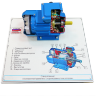 Стенд-планшет «Асинхронный двигатель с короткозамкнутым ротором» - fgospostavki.ru - Красный Сулин