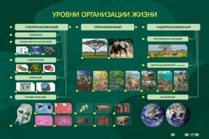 Электрифицированный стенд "Уровни организации жизни" - fgospostavki.ru - Красный Сулин