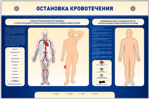 Электрифицированный стенд-тренажер "Остановка кровотечения" - fgospostavki.ru - Красный Сулин