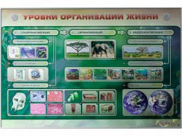 Электрифицированный стенд "Уровни организации жизни" - fgospostavki.ru - Красный Сулин