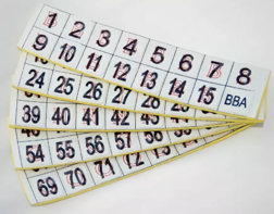 Фишки для игры «Бинго» со шрифтом Брайля - fgospostavki.ru - Красный Сулин