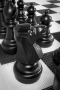 Напольные фигуры шахматные гигантские 61 - fgospostavki.ru - Красный Сулин